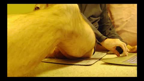 Snapshot of brode3 chatting on 6, 1, 2026 brode3 online show from 6, 1, 2026