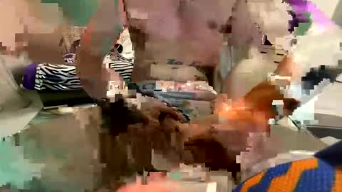 brotskii online show from 11, 4, 2026