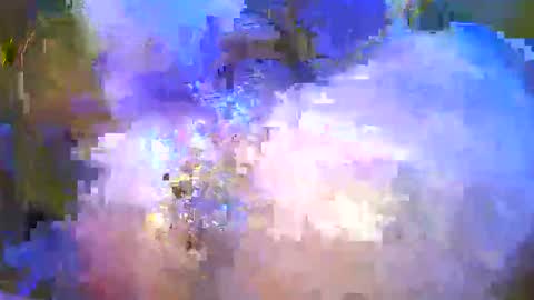 browndickchris online show from 13, 3, 2026