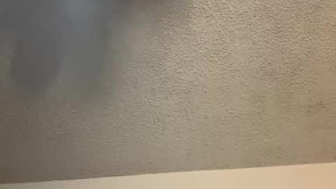 EtherealLilac online show from 11, 2, 2025