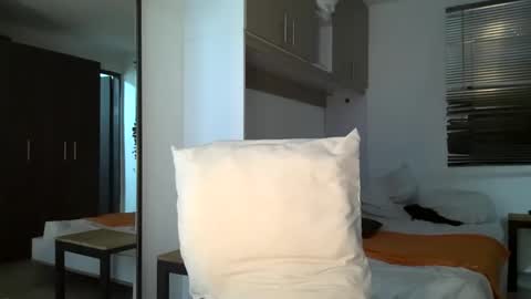 Snapshot of bruce_bigg chatting on 31, 12, 2024 Bruce online show from 31, 12, 2024