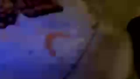 Brujaxgrey online show from 29, 7, 2026