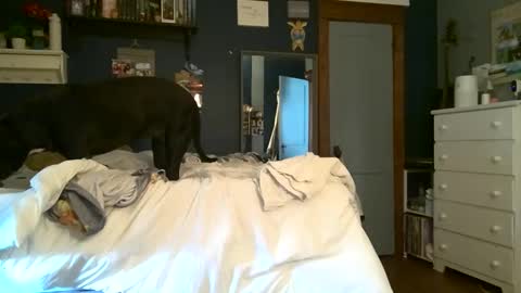 Snapshot of brunettebaby040 chatting on 13, 9, 2025 brunettebaby040 online show from 13, 9, 2025