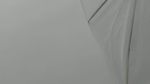 Snapshot of bruno_bellini chatting on 23, 11, 2025 Bruno Bellini online show from 23, 11, 2025