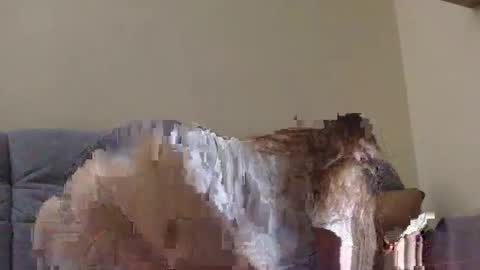 brutecia online show from 16, 9, 2025