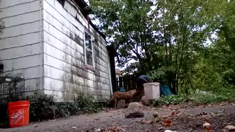 buddylovex online show from 6, 10, 2025