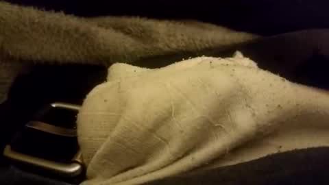 Snapshot of bulkyboners chatting on 7, 2, 2026 ejaculation for 250 online show from 7, 2, 2026