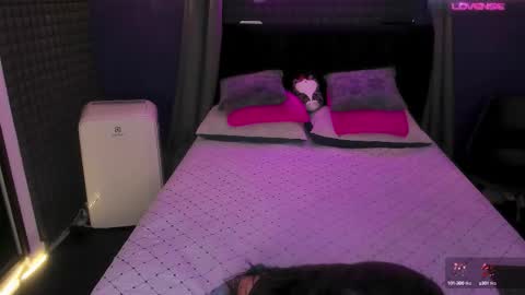 Bunny and The Rock online show from 2, 10, 2025