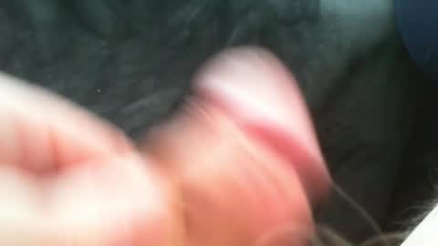 bullemoe online show from 12, 3, 2025