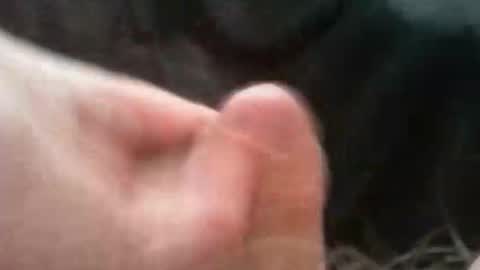 bullemoe online show from 2, 10, 2025