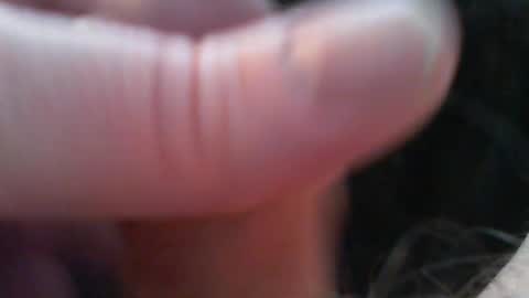 bullemoe online show from 15, 2, 2026