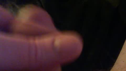 bullemoe online show from 18, 2, 2026