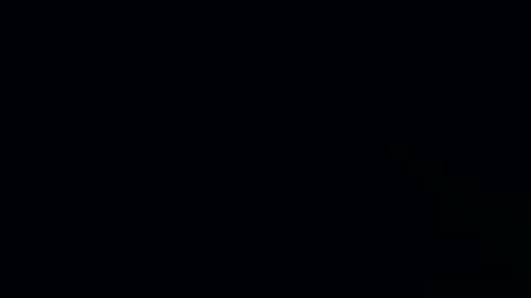 bunniandbyrdd online show from 12, 2, 2025