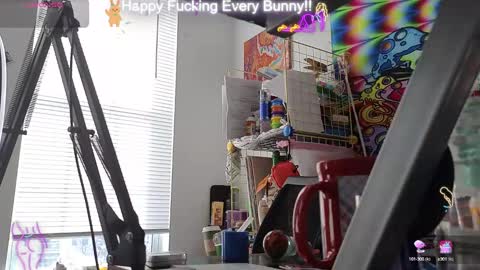 Tokki  bunny  online show from 16, 1, 2025