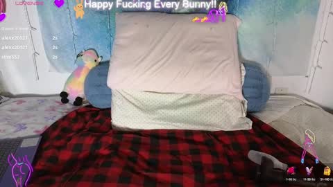 Tokki  bunny  online show from 28, 1, 2025