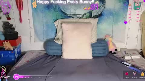 Tokki  bunny  online show from 11, 2, 2025