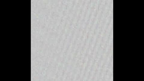 Bunny Wang online show from 9, 2, 2026