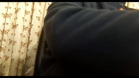 Hairy Arabian online show from 13, 3, 2026