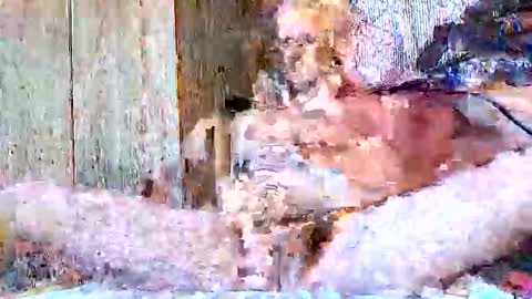 Snapshot of burnzart chatting on 22, 9, 2025 burnzart online show from 22, 9, 2025