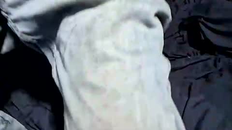 Buster18Hymen online show from 21, 10, 2025