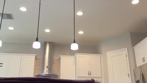 afternoon wood online show from 26, 3, 2026