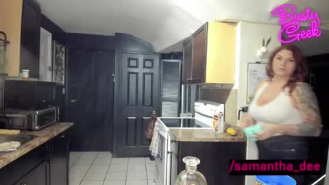 Snapshot of busty_geek48 chatting on 2, 3, 2025 Samantha Dee online show from 2, 3, 2025