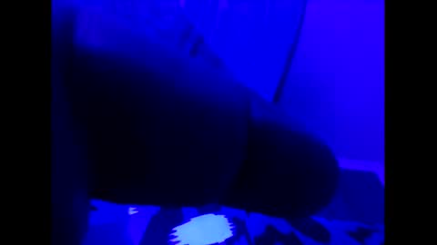 buttbunn1313 online show from 4, 11, 2025