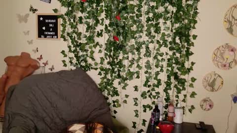 butterfly booty online show from 3, 11, 2025