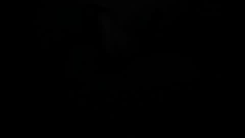 butterflyy1 online show from 1, 2, 2025