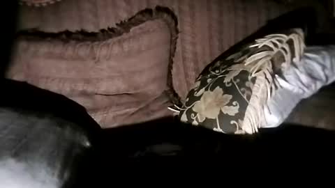 bxpapi69 online show from 7, 11, 2025