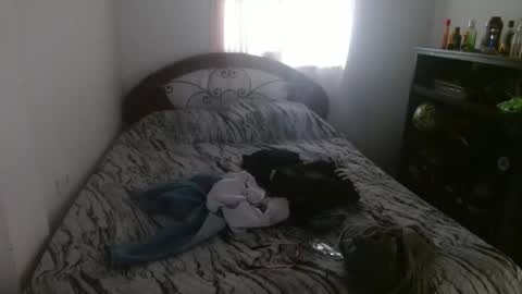 Snapshot of c00lee chatting on 8, 3, 2026 MDaniel online show from 8, 3, 2026