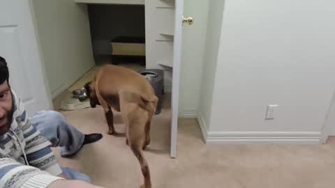 Snapshot of c2cmee chatting on 26, 12, 2024 c2cmee online show from 26, 12, 2024