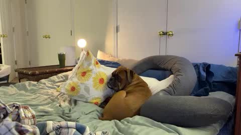 Snapshot of c2cmee chatting on 9, 3, 2026 c2cmee online show from 9, 3, 2026