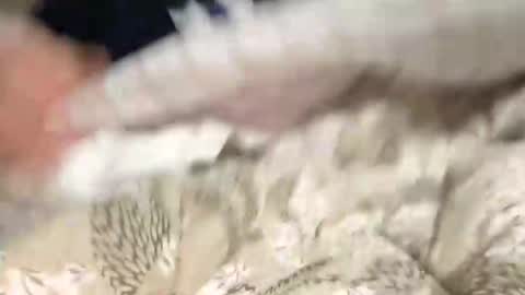 Snapshot of calciatore94 chatting on 9, 12, 2024 Marco online show from 9, 12, 2024