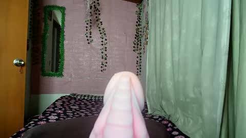 paula online show from 12, 4, 2026