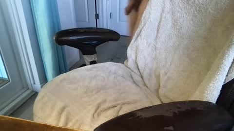 cals16 online show from 18, 3, 2026