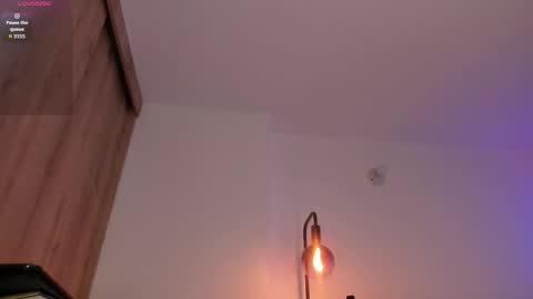 Snapshot of cameron_lyra chatting on 25, 11, 2025 Cameron online show from 25, 11, 2025