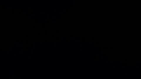 camilio96 online show from 12, 12, 2024