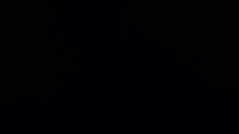 camilio96 online show from 27, 12, 2024