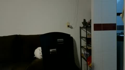 Camilo online show from 15, 10, 2025