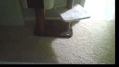 cammyman6900 online show from 21, 9, 2025