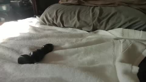 CanadianBoy88 online show from 27, 1, 2025