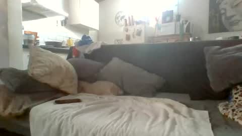 Snapshot of canary_braun chatting on 9, 7, 2026 canary_braun online show from 9, 7, 2026