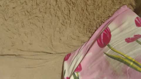 Snapshot of candylady13 chatting on 5, 12, 2024 say meow and send tips  online show from 5, 12, 2024