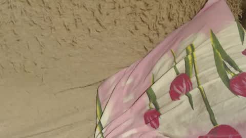 Snapshot of candylady13 chatting on 7, 12, 2024 say meow and send tips  online show from 7, 12, 2024