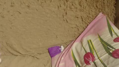 Snapshot of candylady13 chatting on 19, 12, 2024 say meow and send tips  online show from 19, 12, 2024