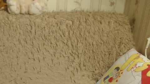 Snapshot of candylady13 chatting on 19, 1, 2025 say meow and send tips  online show from 19, 1, 2025