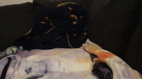 Snapshot of cannakams chatting on 14, 9, 2025 online show from 14, 9, 2025