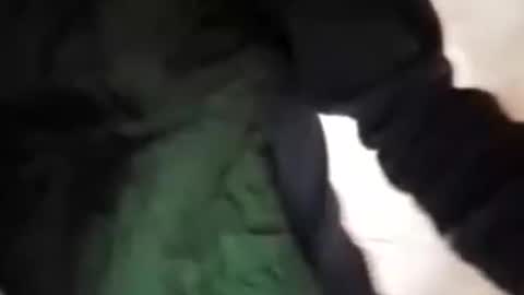 capri34 online show from 21, 9, 2025