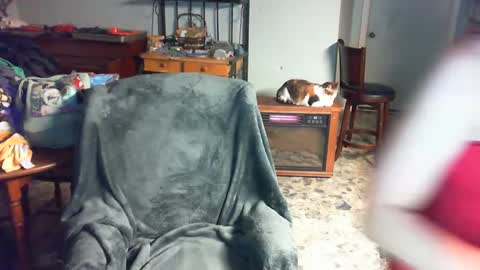 Carley online show from 2, 12, 2024